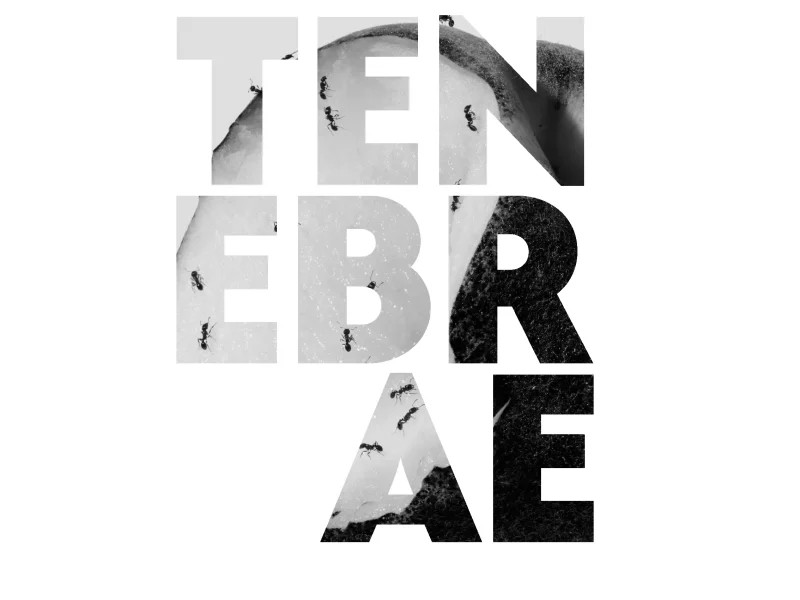 tenebrae 2
